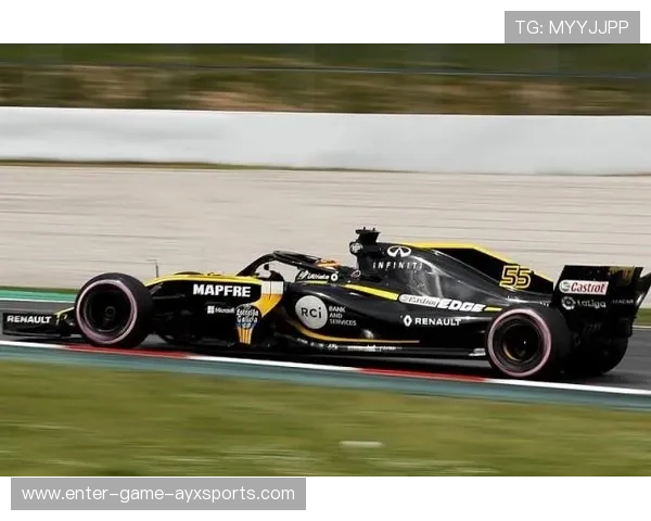 塞恩斯完成连续圈模拟